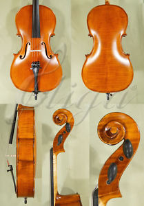 STRAD Pattern Quarter Size 1/4 INTERMEDIATE Level 'GEMS 1' CELLO