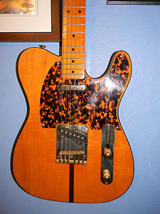 Bill's Brother madcat guitar Morris Japan Lawrence Telecaster Hohner HS Anderson