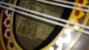 Calace mandolin 1901 + calace 1895