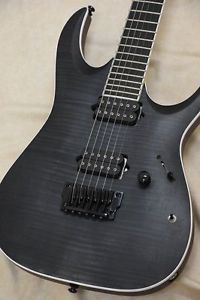 F/S Ibanez IronLabel Arched Top RG Series RGAIX6FM-TGF (Transparent Gray Flat)