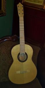 Johnny Walker Concert Flamenco Blanca Guitar