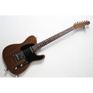 SCHECTERTELECASTER TYPE FREESHIPPING from JAPAN
