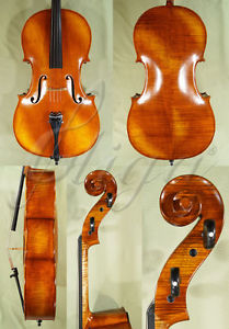 STRAD Pattern Full Size 4/4 HANDmade Maestro GLIGA ANTIQUED CELLO