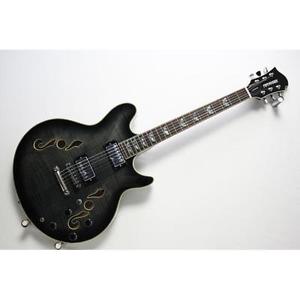 FERNANDESLEXINGTON LIMITED FREESHIPPING from JAPAN