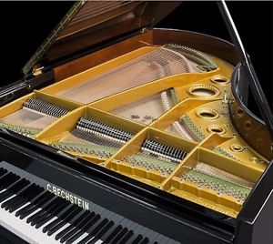 C. Bechstein Grand Piano Model B 6'8" ($165K retail) Also Steinway Avl