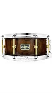 Canopus Zelkova 14x6.5