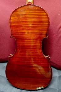 4/4 Herman Fiedler, Dresden c 1900 Fine Violin one piece back Dominant String