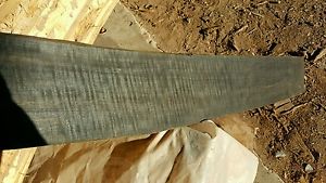 Exhibition grade curly ebony