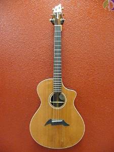Breedlove Journey FS Acoustic Electric Guitar, Brazilian Rosewood Back/Sides