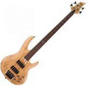 ESP LTD B-204SMFL Fretless Bass Guitar