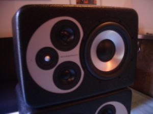 BAREFOOT MICROMAIN 45