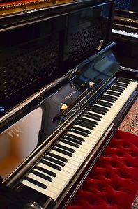 Steinway & Sons Upright Piano Klavier Pianino Piano Pianoforte Generalüberholt