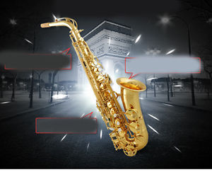 High-Grade Gold E Flat Brass Professional Length 66cm Alto Saxophone #
