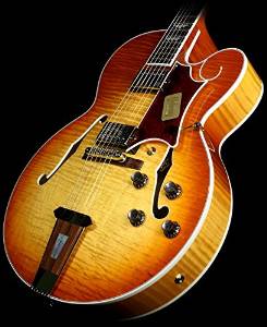 Gibson Custom Shop HSTFVBNH1 Hollow-Body Electric Guitar, Viceroy Brown