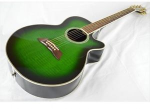 Takamine PT-108 Green w/hard case Free shipping Guiter Bass From JAPAN #A2914