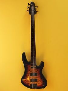 Washburn XB125 Fretless 5-string electric bass guitar Custom