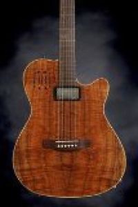 Godin Guitars 038206f 13514159 S