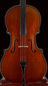 Vultur Calin 4/4 Master Violoncello Fatto a mano dalla Transilvania. RO