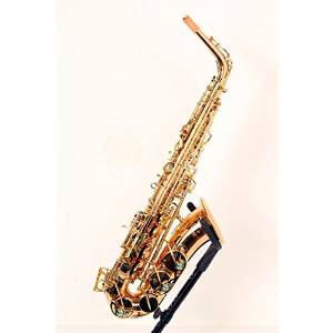 Yanagisawa WO2 Series Alto Saxophone Bronze 888365296685