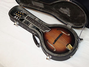 GOLD TONE GM-6+ 6-string electric guitar MANDOLIN new w/ HARD CASE