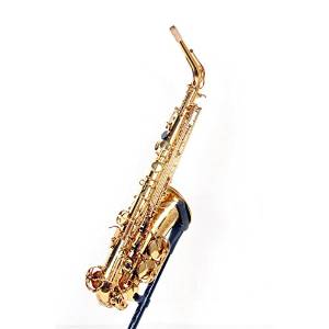 Selmer Paris Reference 54 Alto Saxophone Regular 888365547923