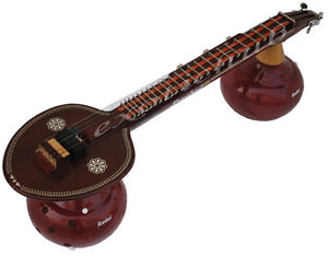 VEENA~RADEL DIGITAL ELECTRONIC~SUNADAVINODINI~VINA~MIZRAB~CARRY BAG~STRING EHS