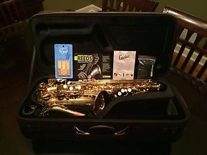 Giardinelli by Eastman Alto Saxophone (Model #GAS-10)