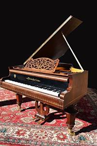 Bosendorfer grand piano & Free Steinway stool
