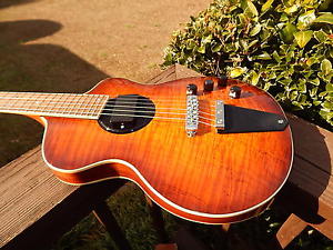 Rick Turner Model 1-LBU Lindsey Buckingham Flame Top Fleetwood Mac