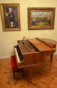 Prächtiger Stingel Original Flügel Stutzflü Salonflügel Klavier Piano Pianoforte
