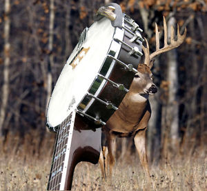 5string Banjo 