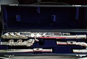 Di Zhao Alto Flute/Two Heads