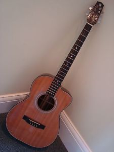 Fabulous Vince Hockey Irish Bouzouki (previously owned by James Fagan)