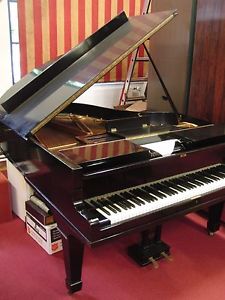 Julius Feurich Leipzig Player Grand Piano