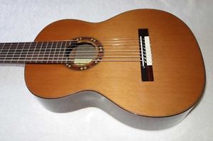 BARTOLEX SRS8, 8-String Classical Harp Guitar, Spruce Top w/HardCase SAVE $400!!