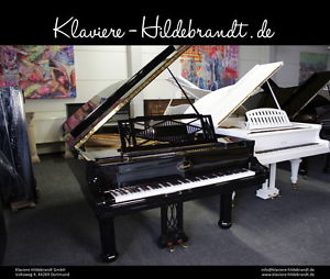 Ibach Flügel, Modell Richard Wagner - rundumerneuert