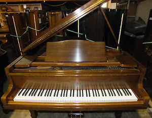 YAMAHA G2 Baby Grand Piano- WALNUT FINISH  Free Delivery available
