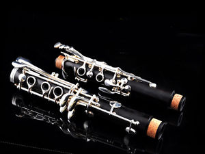 High Quality Ebony Wood B Flat Professional Musical instrument Clarinet #