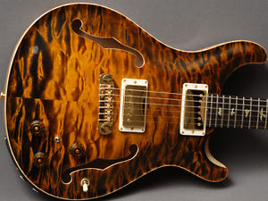 Paul Reed Smith Private Stock #6399 Hollowbody II Brasilien Rosewood