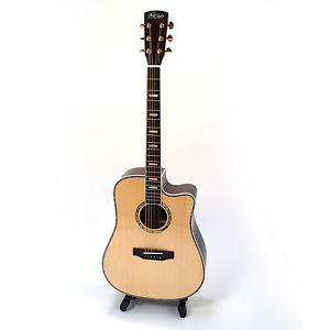 Freestyle Guitars Artiste