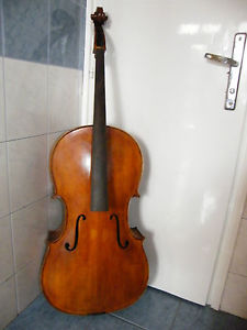 cello4/4