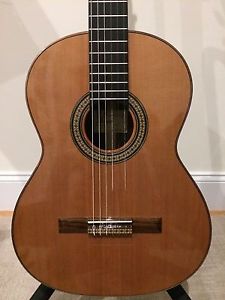 Antonio Picado 49 cedar 2013