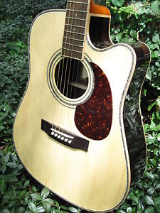Zager Easy Play ZAD900CE Acoustic Electric Pro Guitar...rated in the top 2%!