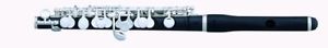 Pearl Flutes PFP105E Piccolo hre
