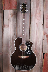 Takamine Gn75ce Acousticelectric