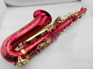 New High-Grade carving E Flat U-Shape Brass Professional Alto Saxophone #
