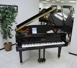 Schiller Baby Grand Piano IQ PAD Player System - Black Polish