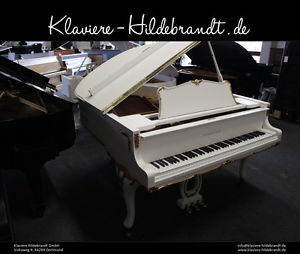 Rosenstock Flügel - weiss satiniert mit gold verziert - sehr edel