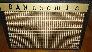 1964 PANaramic Guitar/Instrument Amp - Magnatone - Twin 6" Speakers - RARE