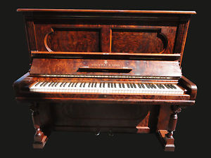 STEINWAY & SONS Klavier Konzert piano